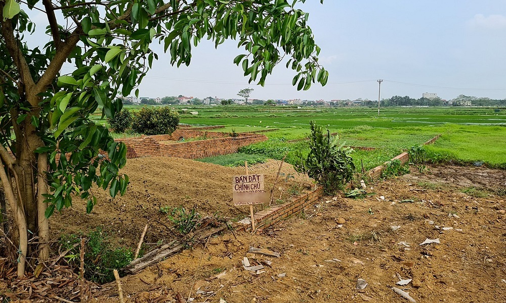 Nghe lời con bán đất quê lên thành phố sống, tôi bây giờ “ở không được về cũng chẳng xong”