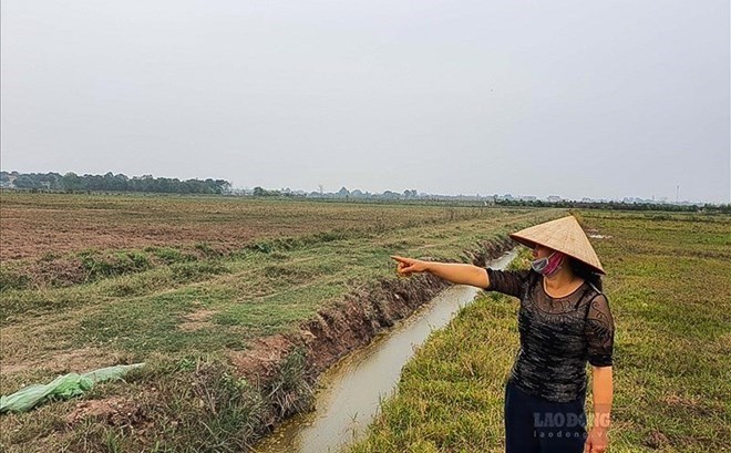 Chi phí làm sổ đỏ đất nông nghiệp mới nhất