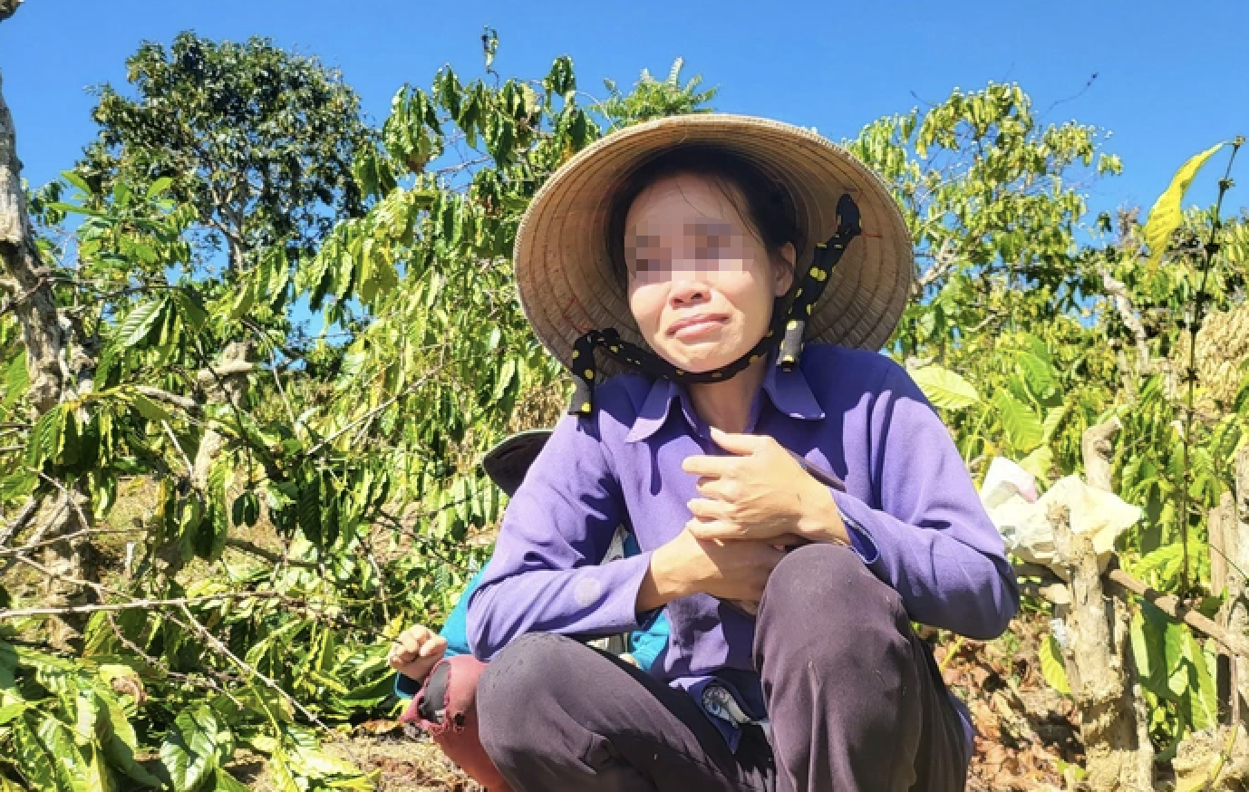 Vụ anh rể phá vườn cây 